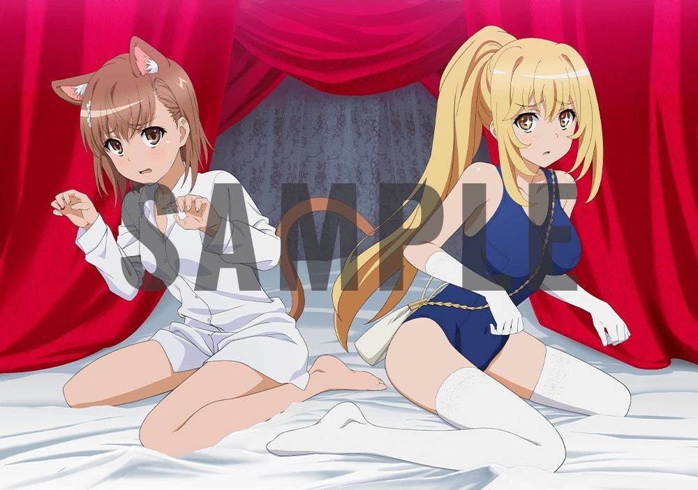 とある科学の超電磁砲T B1布ポスター、タペストリー(御坂美琴&食蜂操祈)