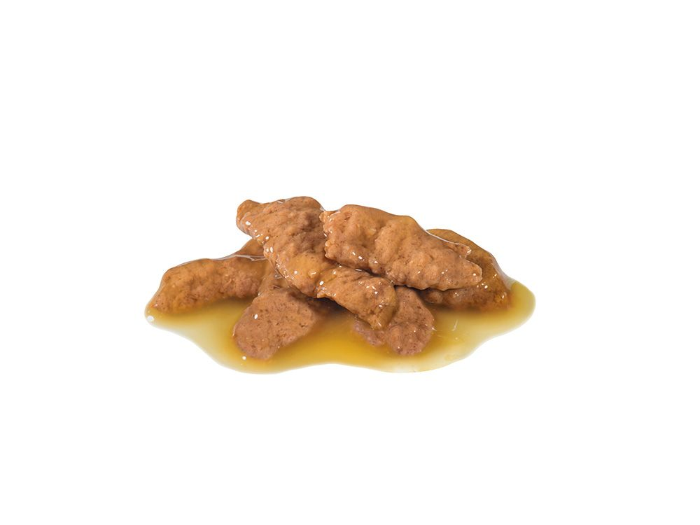 ユリナリーS/O ライト（猫用 ウェット） | Royal Canin JP