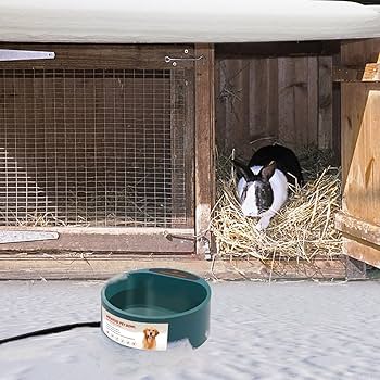 Amazon | Namsan 加熱ペットボウル 加熱 給水器 犬 猫 水飲み器 室内用