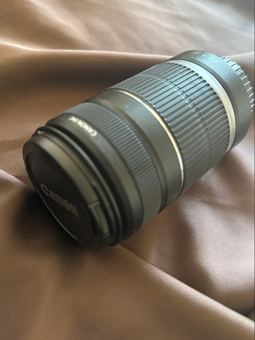 Canon EF-S55-250mm f/4-5.6 IS ズームレンズ