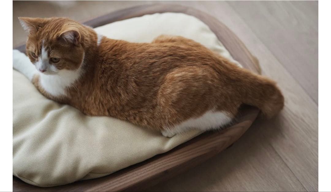 【新品未使用】KARIMOKU CAT BED ウォールナット　保証書付き KARIMOKU CAT BED